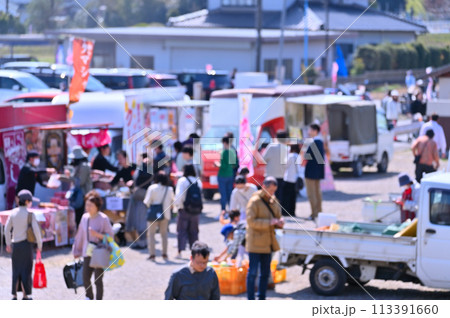さくら祭り 満開の桜並木 安行寒桜 北浅羽桜堤公園 埼玉県 さくら祭り 満開の桜並木 安行寒桜 北浅羽桜堤公園 埼玉県 113391660
