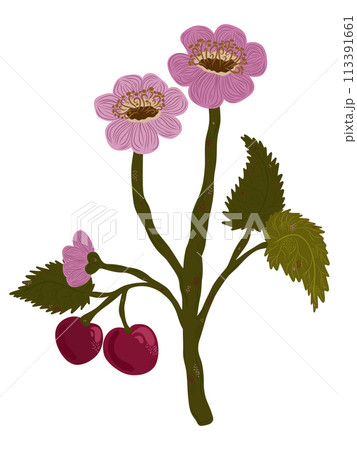 branch with purple flowers branch with purple flowers 113391661