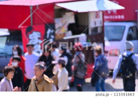 さくら祭り 満開の桜並木 安行寒桜 北浅羽桜堤公園 埼玉県 さくら祭り 満開の桜並木 安行寒桜 北浅羽桜堤公園 埼玉県 113391663