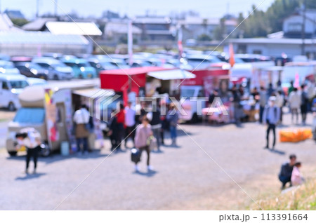 さくら祭り 満開の桜並木 安行寒桜 北浅羽桜堤公園 埼玉県 さくら祭り 満開の桜並木 安行寒桜 北浅羽桜堤公園 埼玉県 113391664