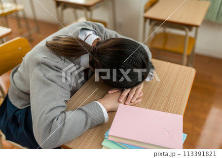 学生生活のイメージカット 学生生活のイメージカット 113391821