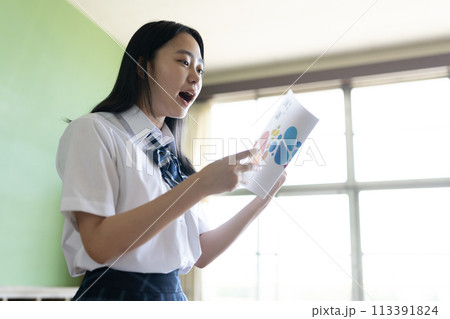 スクールライフ(学校生活)のイメージ素材 スクールライフ(学校生活)のイメージ素材 113391824