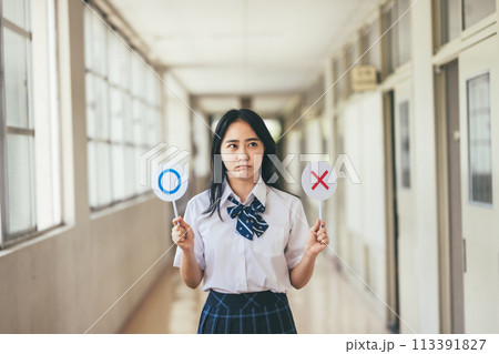 スクールライフ（学校生活）のイメージ素材 113391827