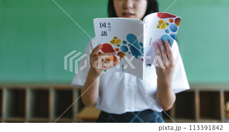 スクールライフ（学校生活）のイメージ素材 113391842