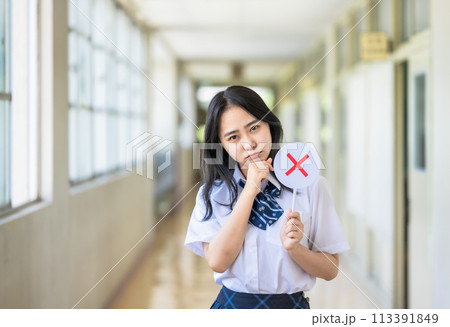 スクールライフ(学校生活)のイメージ素材 スクールライフ(学校生活)のイメージ素材 113391849