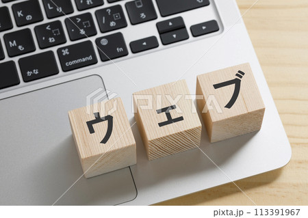 パソコン　ウェブ　イメージ 113391967