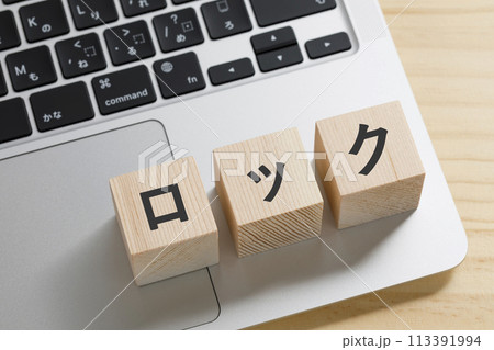 パソコン　ロック　イメージ 113391994