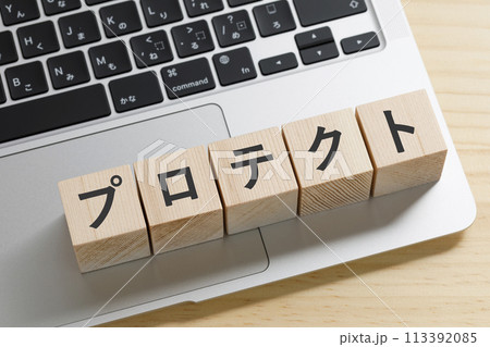 パソコン プロテクト イメージ パソコン プロテクト イメージ 113392085