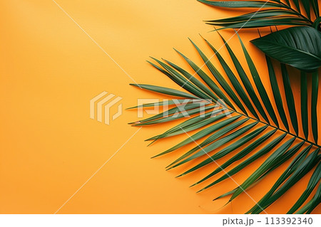 Palm Leaves on yellow solid color. Tropical palm leaf on orange background. Creative nature layout. Flat lay. Summer design concept. Botanical frame, wedding invitation, holiday branding. Copy space 113392340