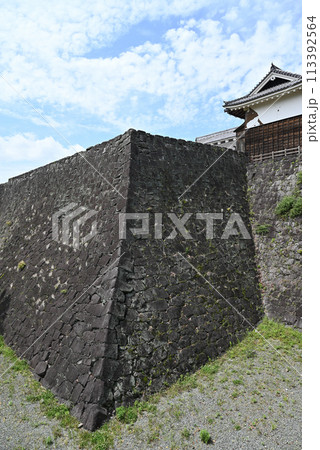 熊本城 113392564