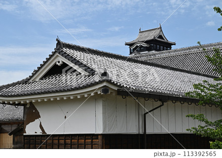 熊本城 113392565