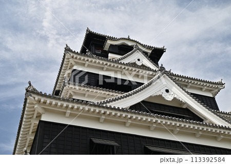 熊本城 熊本城 113392584