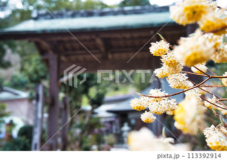 長興山紹太寺 113392914