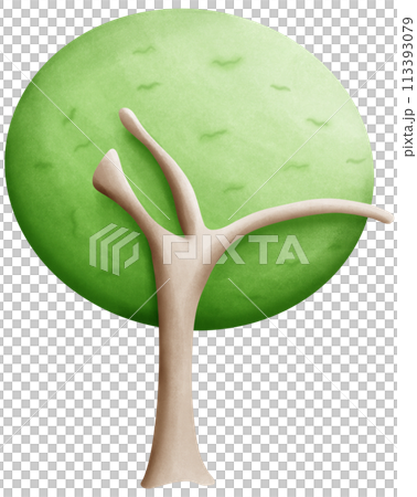 Trees that are fully grown Trees that are fully grown 113393079