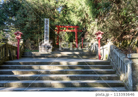 箱根神社の鳥居と参道 箱根神社の鳥居と参道 113393646