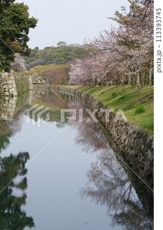 姫路城 桜 船乗り場 人力車 姫路城 桜 船乗り場 人力車 113393745
