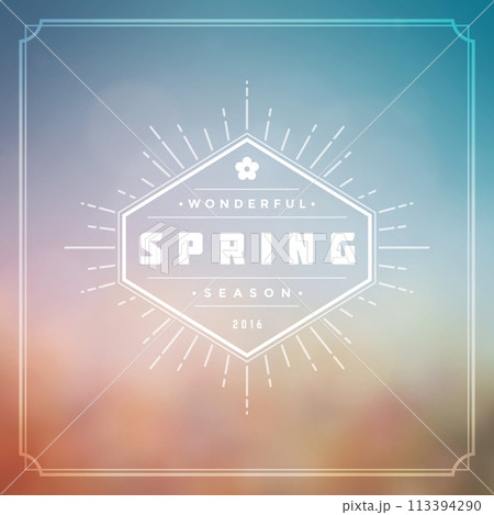 Spring Vector Typographic Greeting Card or Poster Design 113394290