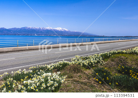 【新潟県_佐渡_越の長浜】のんびり行こうよ越の長浜 4月 113394531