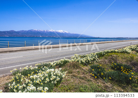 【新潟県_佐渡_越の長浜】のんびり行こうよ越の長浜 4月 113394533