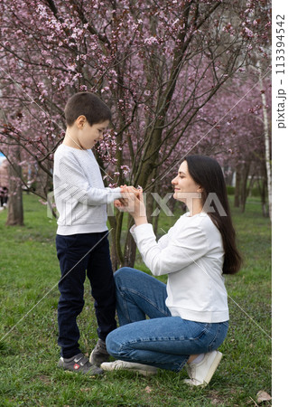 Son gives his mother a small flower from cherry blossom in spring Son gives his mother a small flower from cherry blossom in spring 113394542
