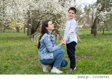 Mom and six-year-old son in blooming garden in spring. Mom and six-year-old son in blooming garden in spring. 113394543