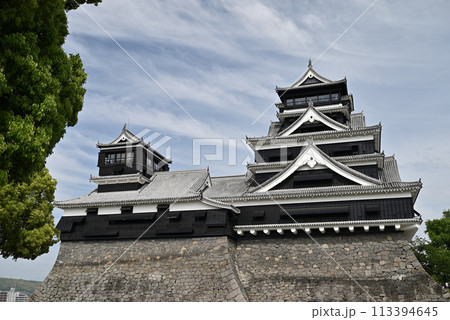 熊本城 113394645