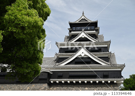 熊本城 熊本城 113394646