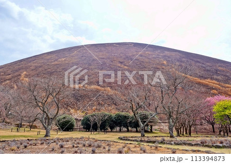 山焼き後の黒い大室山風景 山焼き後の黒い大室山風景 113394873