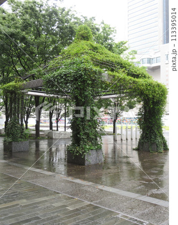 緑のある風景 みなとみらい 緑のある風景 みなとみらい 113395014