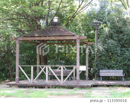 緑豊かな公園のベンチ 113395018