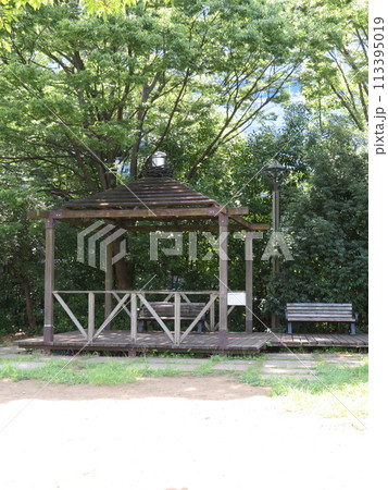 緑豊かな公園のベンチ 緑豊かな公園のベンチ 113395019
