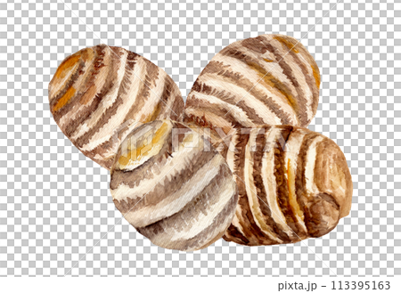 收穫和堆疊的紅薯插圖 113395163