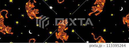 Boho celestial magic art tiger star comet flame fire background. Contemporary illustration seamless pattern in playful bohemian style. Mystic cosmic tarot aesthetic. Black red white yellow colors. 113395264
