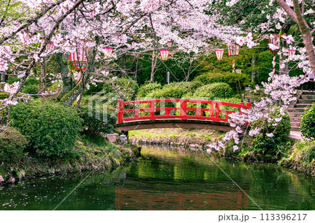 桜の名所　打吹公園 113396217