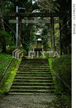 神社の参道 113396242