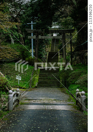 神社の参道 113396250