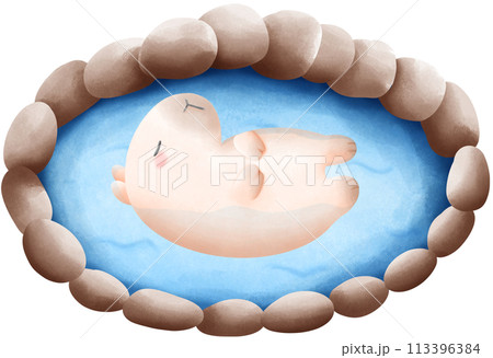 Capybara soaking in hot spring water Capybara soaking in hot spring water 113396384