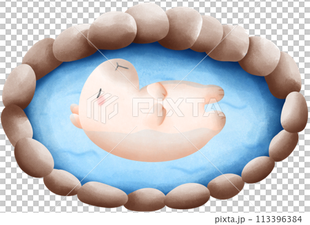 Capybara soaking in hot spring water Capybara soaking in hot spring water 113396384