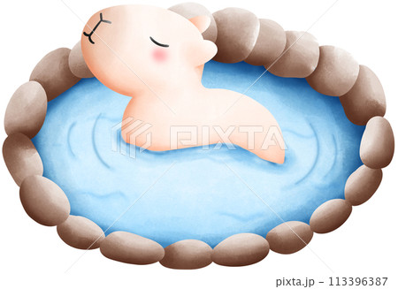 Capybara soaking in hot spring water Capybara soaking in hot spring water 113396387