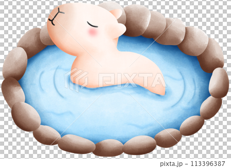Capybara soaking in hot spring water Capybara soaking in hot spring water 113396387