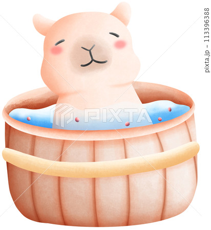 Capybara soaked in water 113396388