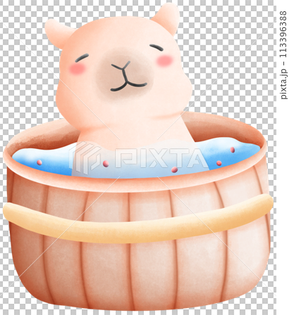 Capybara soaked in water 113396388