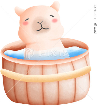 Capybara soaked in water Capybara soaked in water 113396390