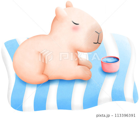 Capybara lying on the mat Capybara lying on the mat 113396391