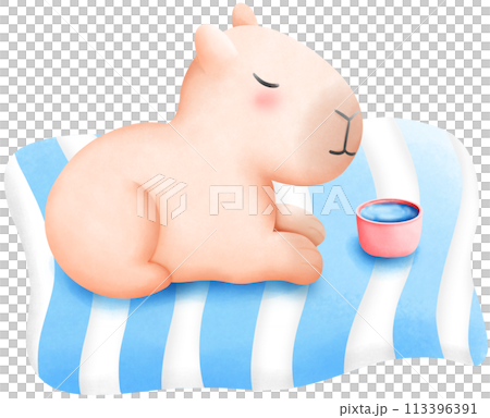 Capybara lying on the mat Capybara lying on the mat 113396391