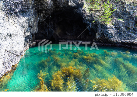 【新潟県・佐渡】青の洞窟　波が作った巨大洞窟群  琴浦  113396904