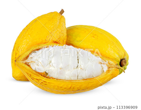 Cocoa isolated on white background. 113396909