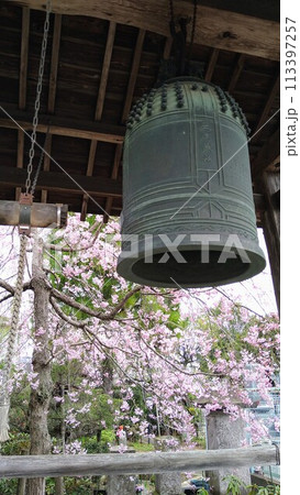 桜に包まれた鐘楼 113397257