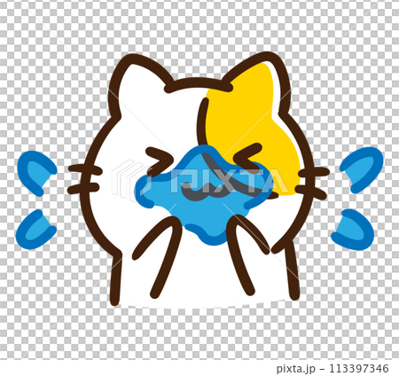 A deformed illustration of a cute cat character washing his face in the morning 113397346