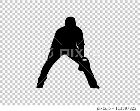 Baseball Baseball 113397822